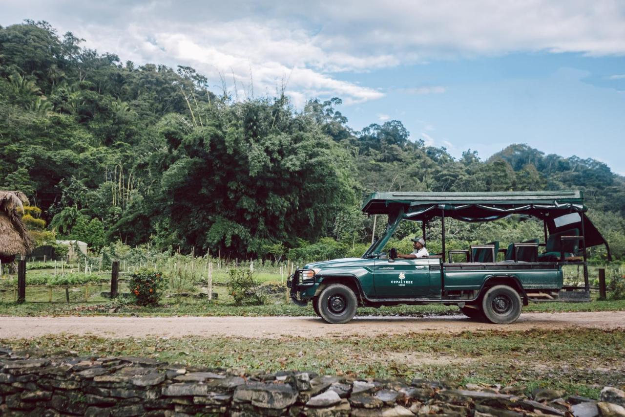 Copal Tree Lodge A Muy'Ono Resort Toledo District Eksteriør billede