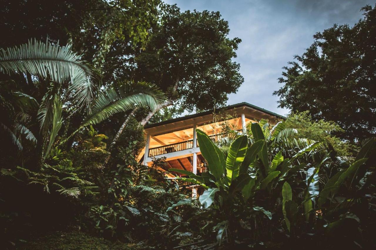 Copal Tree Lodge A Muy'Ono Resort Toledo District Eksteriør billede