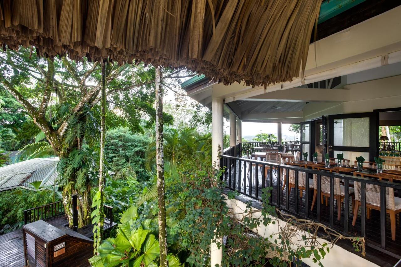 Copal Tree Lodge A Muy'Ono Resort Toledo District Eksteriør billede